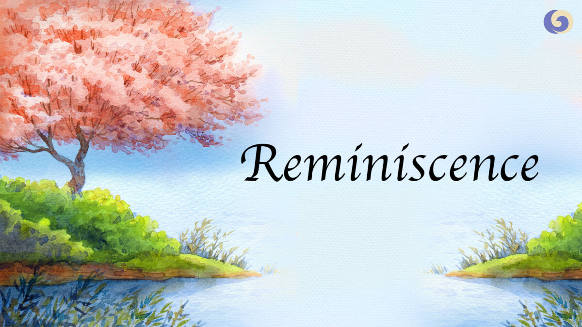 Chinese Bamboo Flute Portrays a Beautiful, Heavenly Place | Chinese Music | Musical Moments