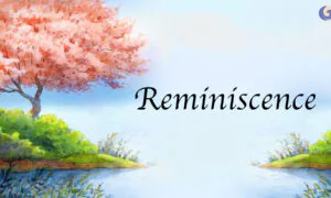 Chinese Bamboo Flute Portrays a Beautiful, Heavenly Place | Chinese Music | Musical Moments