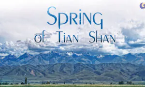‘Spring of Tian Shan’ Depicts the Beautiful Scenery When Spring Arrives at Tian Shan Mountain | Musical Moments