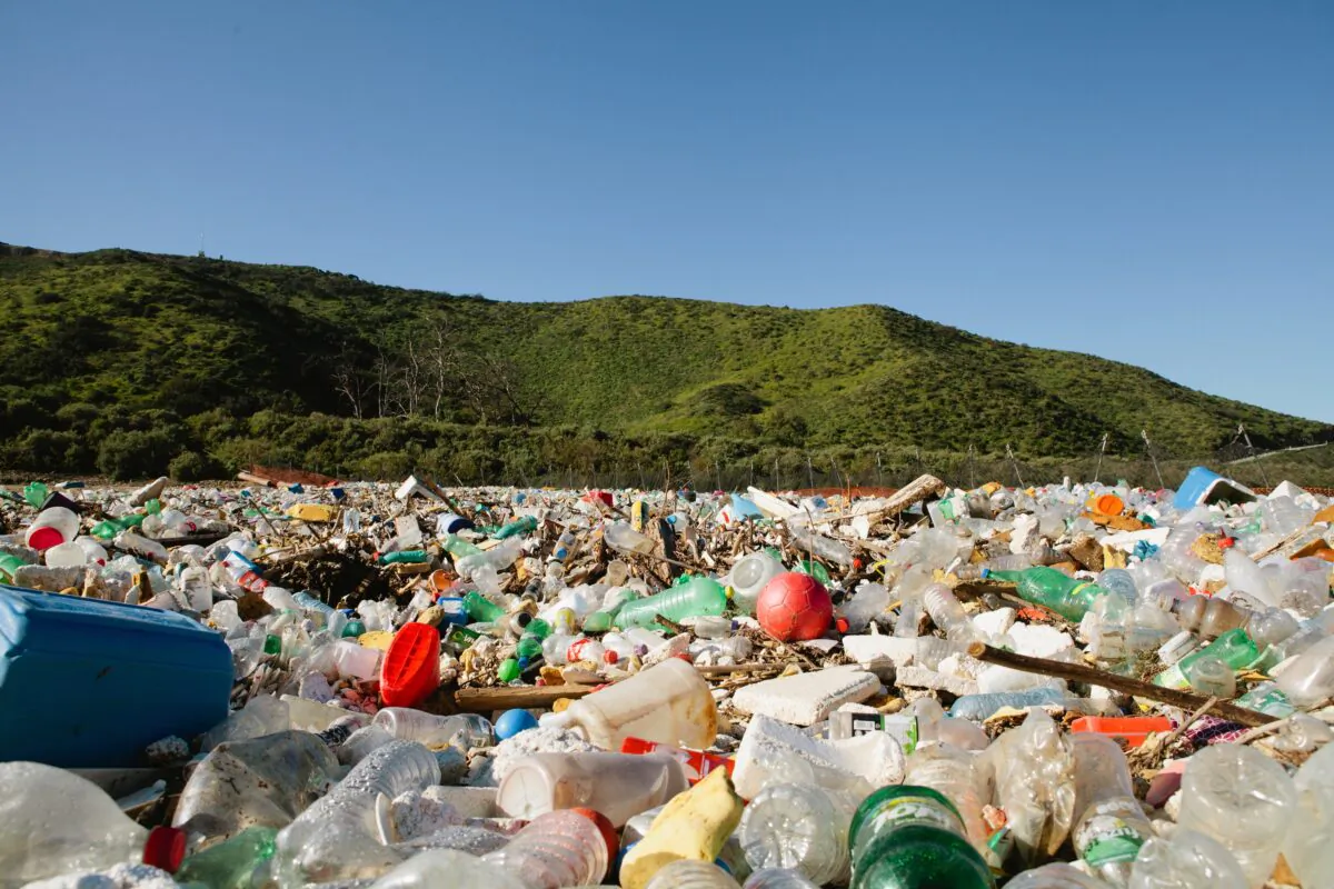 Tijuana River Estuary, near Goat Canyon, littered with debris, including plastic bottles, containers, toys and discarded trash. (Courtesy of Kyle Lishok/Surfrider Foundation)