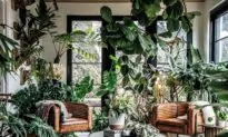Plant Guru Hilton Carter: How to Transform Your Home and Heart With Houseplants