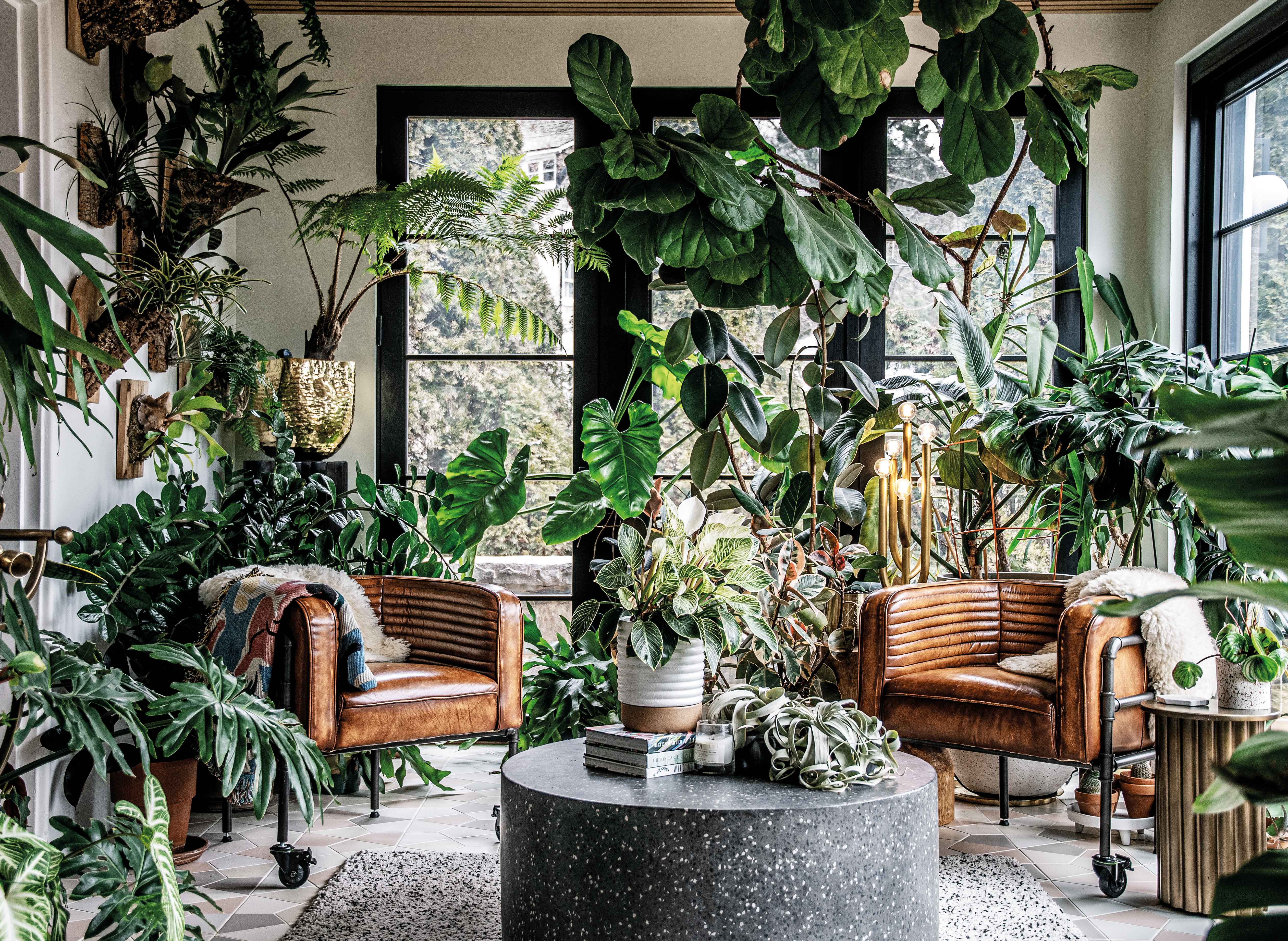 Plant Guru Hilton Carter: How to Transform Your Home and Heart With Houseplants - Vimarsana News