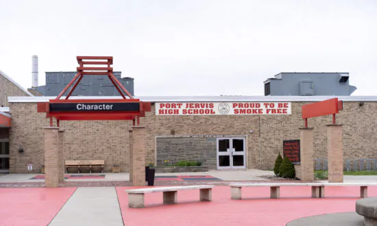 Port Jervis School Board Member Judith Amato Seeks Reelection