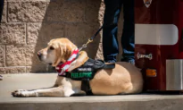 Orange County Fire Authority Adds New K9 to Its Ranks