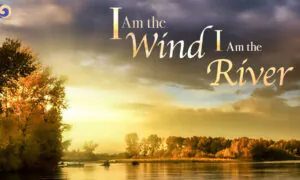 This Dizi Song is Desolate, Sad and Compassionate | Chinese Music | Musical Moments