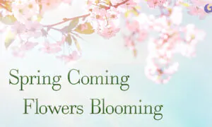 Spring Coming, Flowers Blooming’: A Song That Brings Courage and Hope | Musical Moments