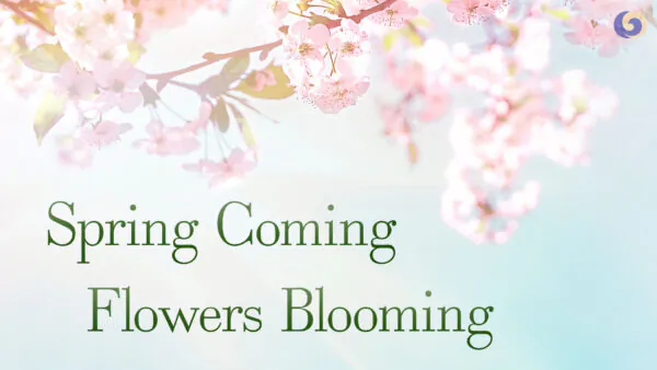 Spring Coming, Flowers Blooming’: A Song That Brings Courage and Hope | Musical Moments