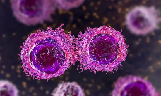 Treatment Versus No Treatment of Localized Prostate Cancer Had Similar Results Over 15 Years, 1 Question Raised