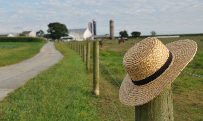 Amish Farmer Threatened for Not Giving Up Traditional Farming