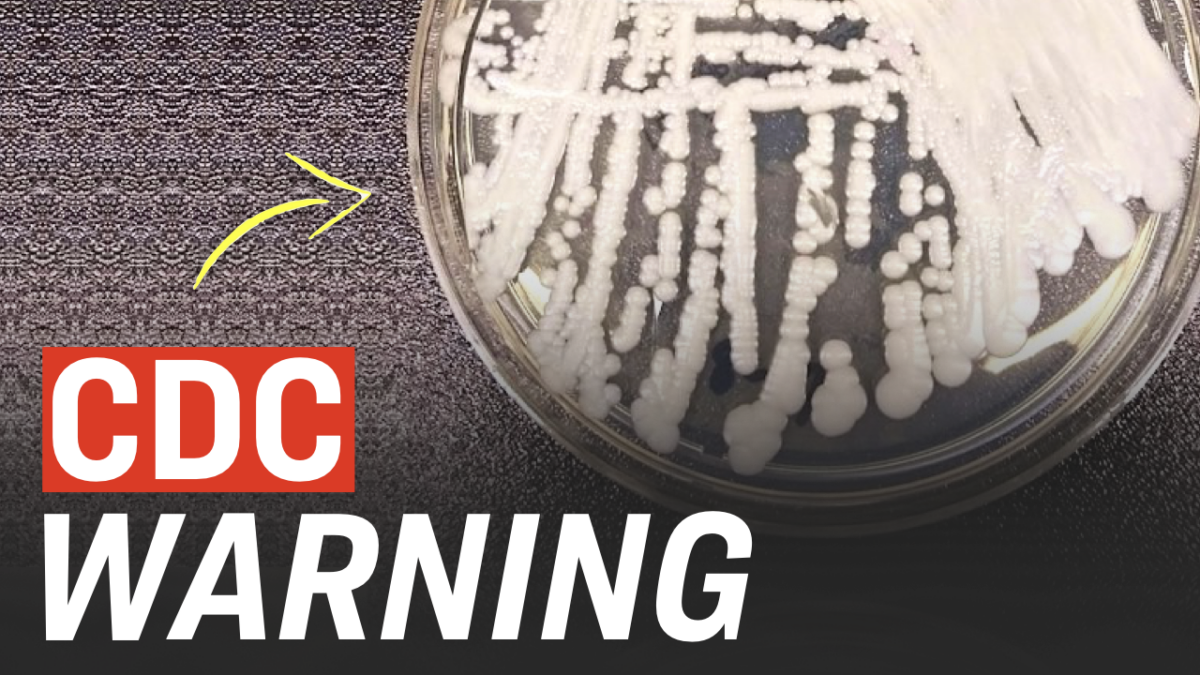 CDC Warning Fatal Fungal Infection Spreading Throughout USA, Doubling