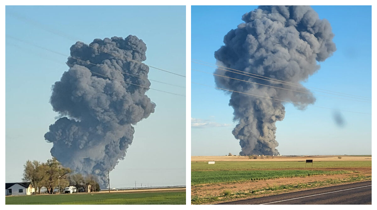 NextImg:Possible Explosion Leaves Estimated 18,000 Cows Dead in Texas: Officials