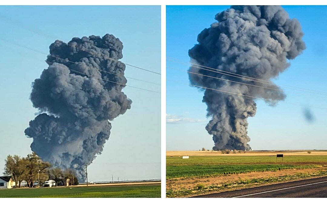 Possible Explosion Leaves Estimated 18,000 Cows Dead in Texas ...