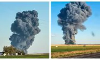 Possible Explosion Leaves Estimated 18,000 Cows Dead in Texas: Officials