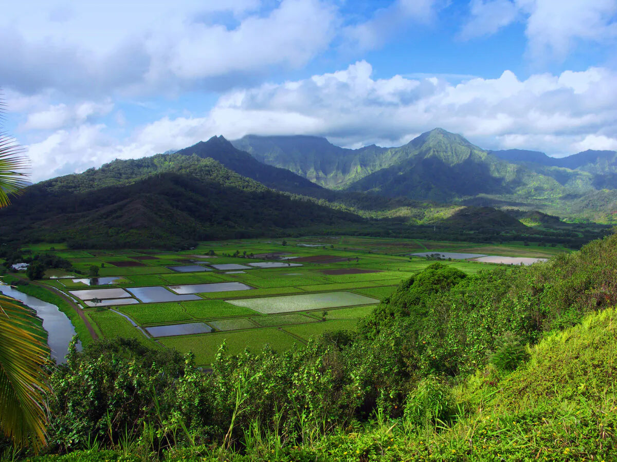 Hanalei Lookout in Kauai, Hawaii. (Lynn Watson/Dreamstime/TNS)