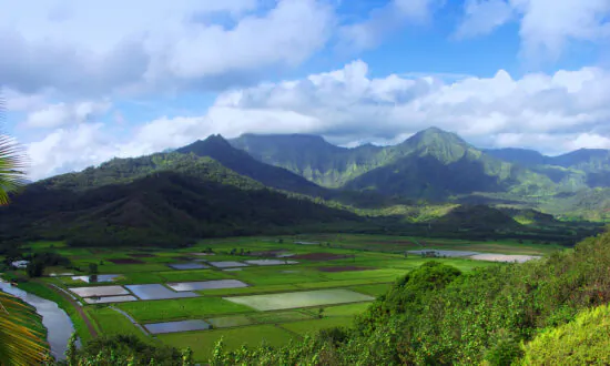 ‘Try Slow’ on the North Shore of Kauai, Where Regenerative Tourism Is the Way