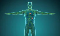 Beyond Detox: Unlocking the Secret Healing Power of the Lymphatic System