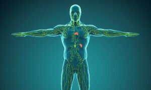 Beyond Detox: Unlocking the Secret Healing Power of the Lymphatic System
