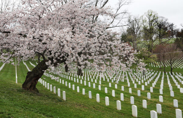 ▶ President, Defense Secretary Mark Memorial Day at Arlington Cemetery