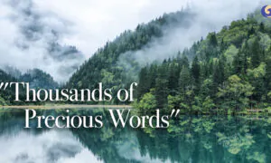 The Sound of the Flute Evokes One’s Original Purity, Cleanses the Soul | Chinese Music | Musical Moments