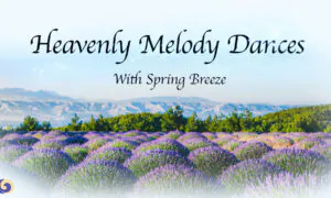 Heavenly Melody Dances With Spring Breeze | Chinese Music | Musical Moments