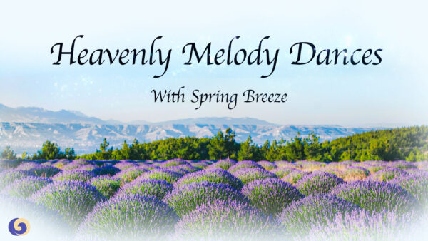 Heavenly Melody Dances With Spring Breeze | Chinese Music | Musical Moments