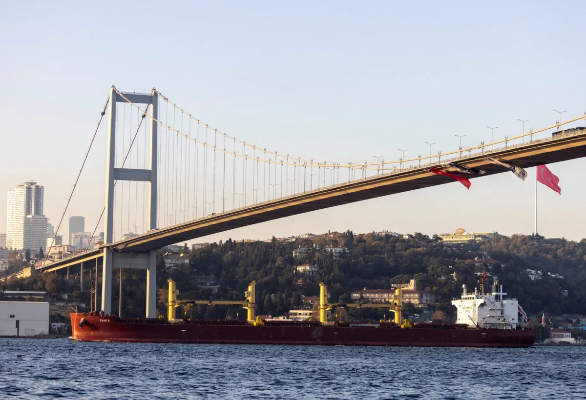 Zante, a cargo vessel carrying Ukrainian grain, transits Bosphorus, in Istanbul on Nov. 2, 2022. (Umit Bektas/Reuters)
