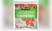 Canadian Authorities on Alert After US Recall of Strawberries Due to Risk of Hepatitis A