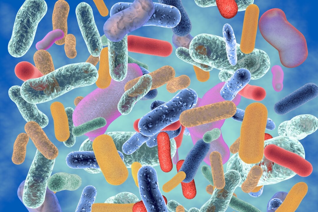 A more diverse microbiome is typically associated with better health. (Illustration Forest/Shutterstock)