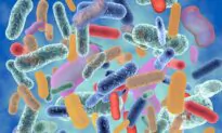 Why Scientists Are Obsessing Over the Bugs in Our Stool