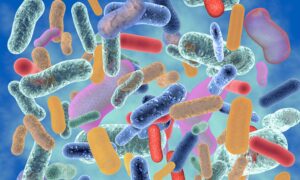 Why Scientists Are Obsessing Over the Bugs in Our Stool