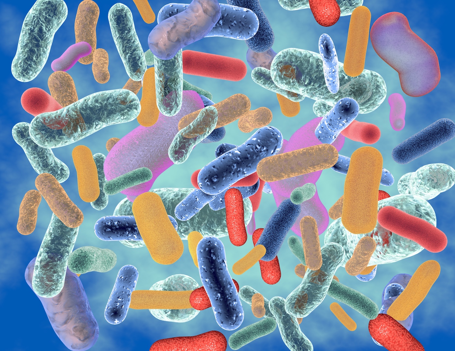 Why Scientists Are Obsessing Over the Bugs in Our Stool - Vimarsana News