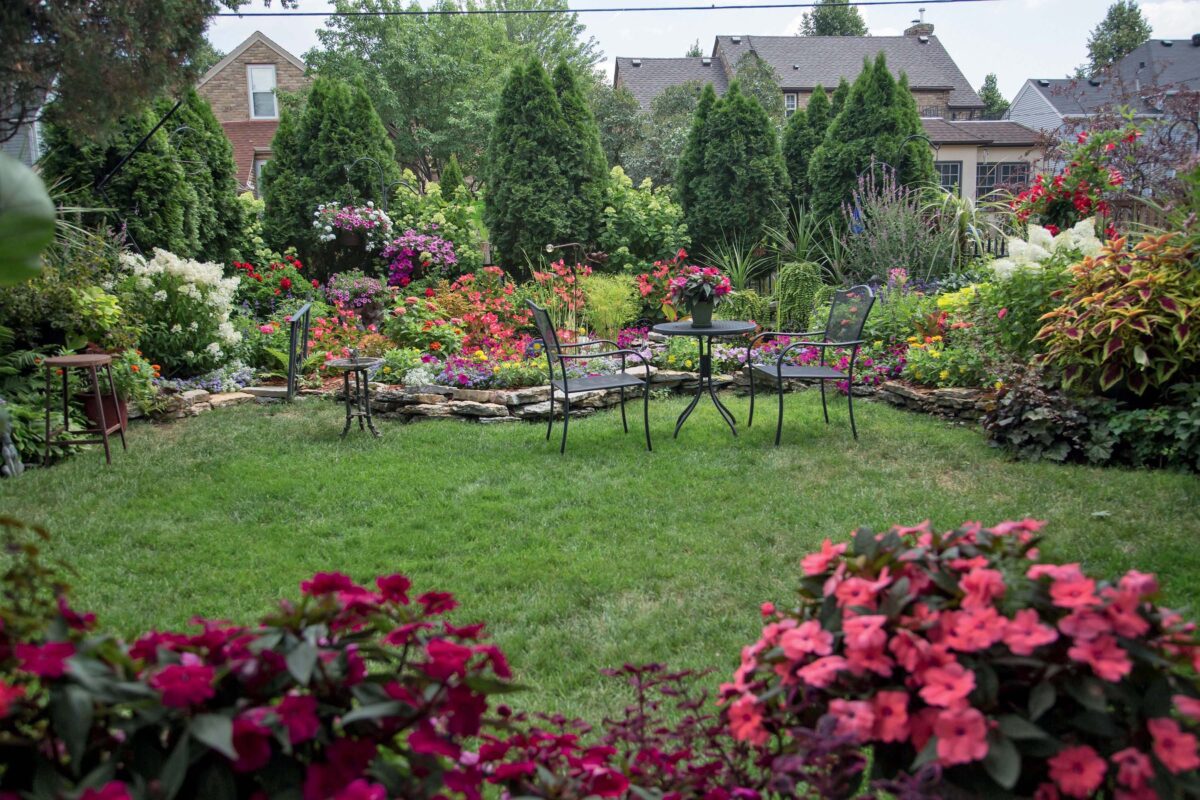 NextImg:This Twin Cities Guru Is Changing How We Look at Gardening