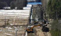 Finland Begins Construction of Fence on Russian Border Amid Migration Concerns