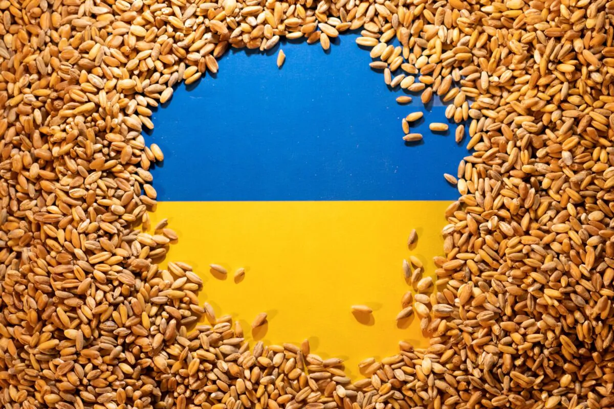 Ukrainian flag is covered with grains in this picture illustration taken on May 9, 2022. (Dado Ruvic/Illustration/Reuters)
