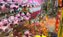 Boy, 13, Gets Stuck Climbing Into Claw Machine for Prize