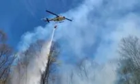 Wildfire in Deerpark, Orange County, Out After Burning 350 Acres Over 3 Days