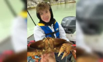 20-Year-Old Arrested Following Stabbing Death of Teen on Bus in Surrey, BC