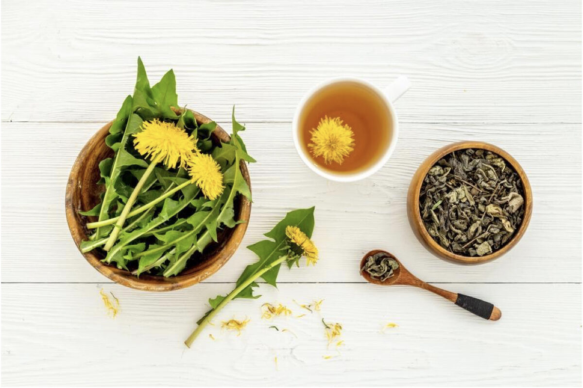 NextImg:Dandelion Possesses All Attributes as Medicine and Food, a Popular Ingredient for Springtime Liver Protection