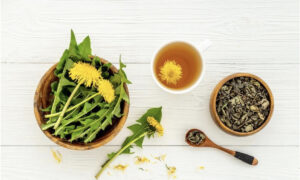 Dandelion Possesses All Attributes as Medicine and Food, a Popular Ingredient for Springtime Liver Protection