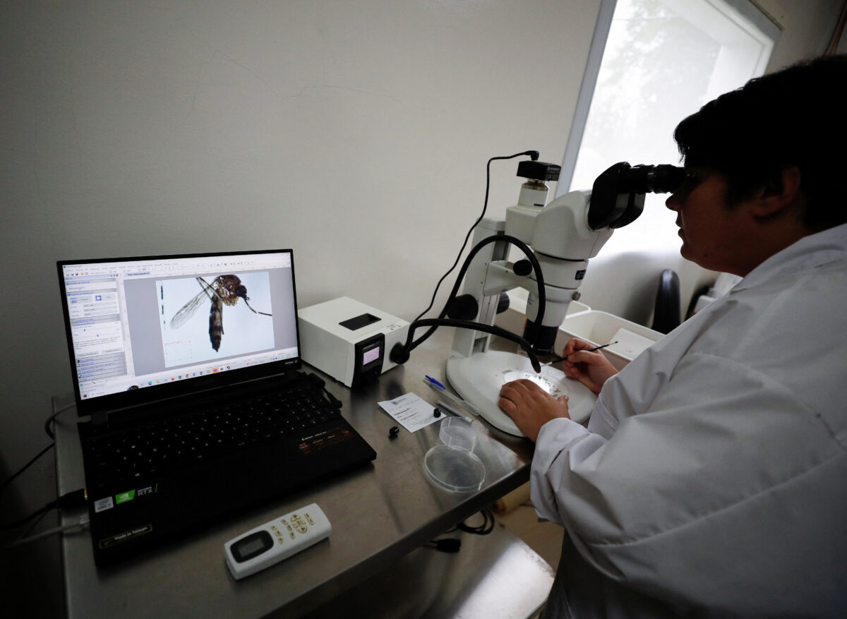 NextImg:Argentina Battles Major Dengue Outbreak With Atomic Radiation