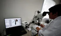 Health Professionals Sound Alarm on Potential ‘Deadlier’ Outbreak on the Horizon