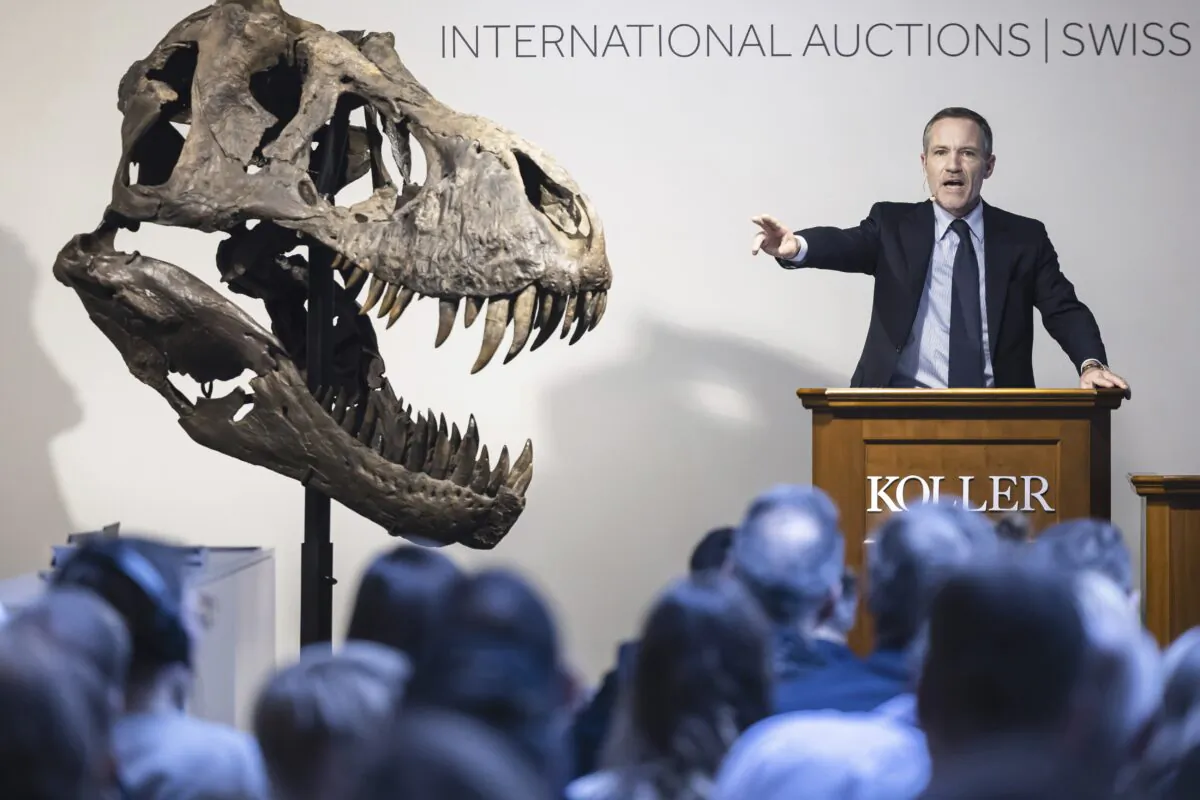 Cyril Koller, CEO of auction house Koller, stands next to the head of the skeleton of a Tyrannosaurus rex named Trinity, during an auction in Zurich, Switzerland, on April 18, 2023. (Michael Buholzer/Keystone via AP)