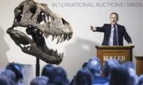 T. Rex Skeleton Sells for More Than $5 Million at Zurich Auction