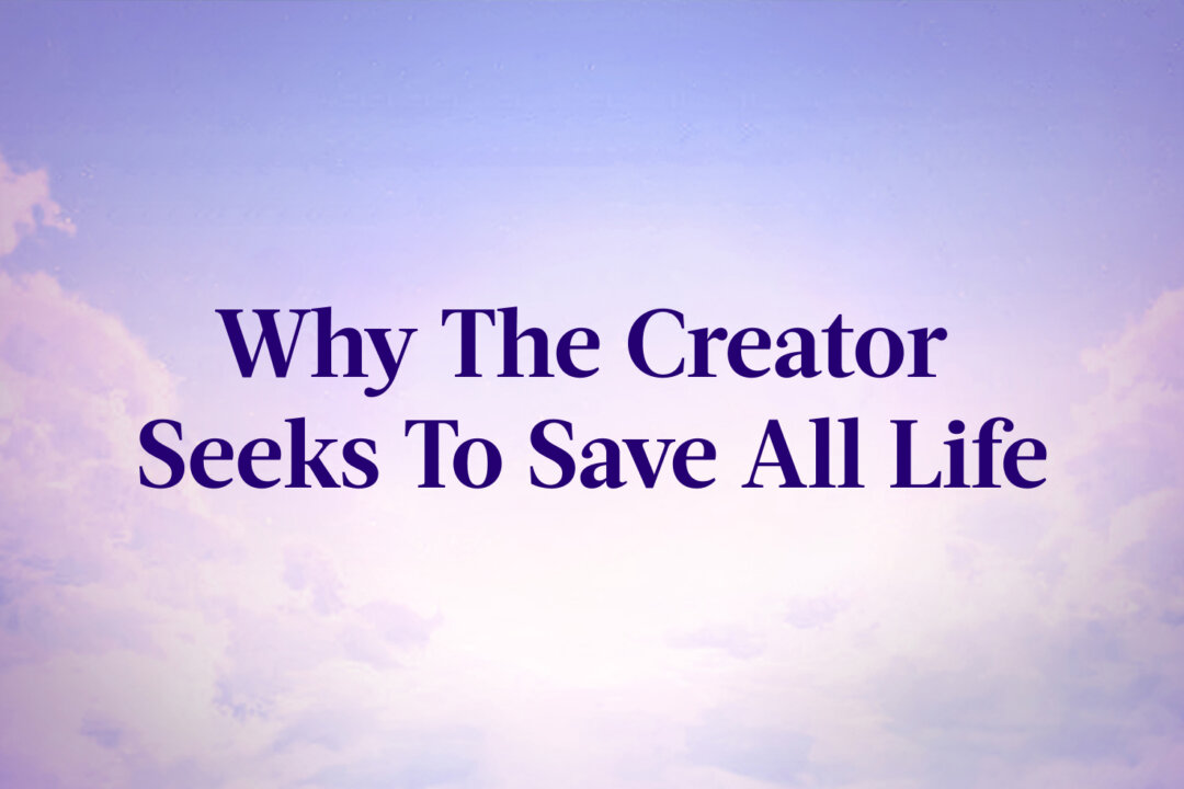 Article by Falun Gong Founder Mr. Li Hongzhi