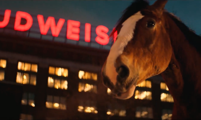 IN-DEPTH: Can Budweiser's New Pro-America Ad Fix Transgender Controversy? Beer Drinkers Doubt It