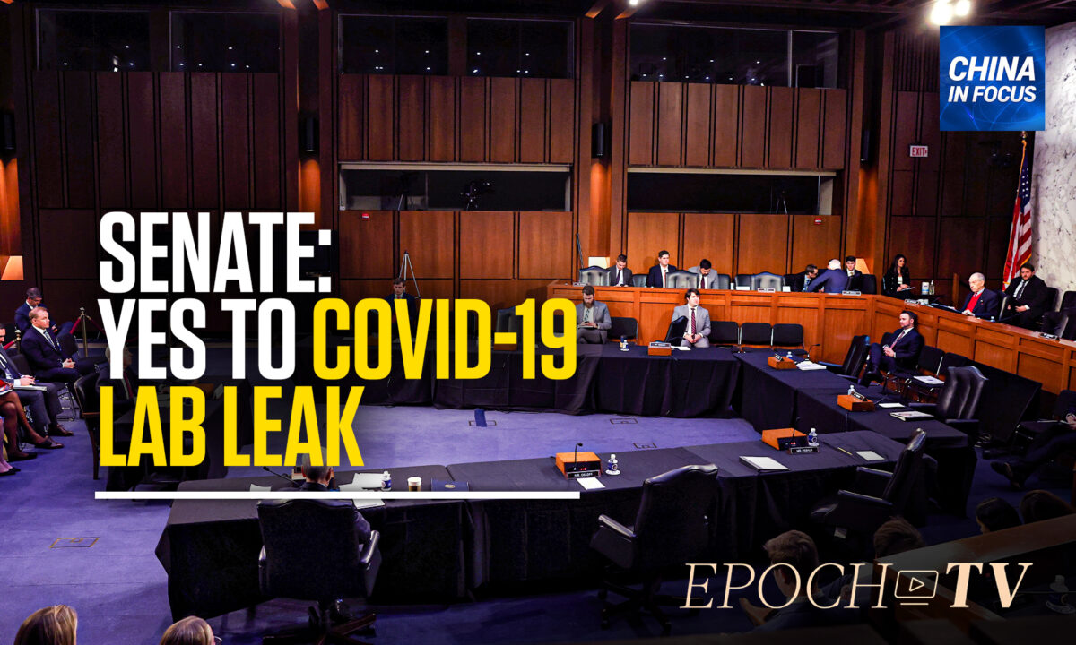 NextImg:Senate Report Finds 2 Wuhan Lab Leaks