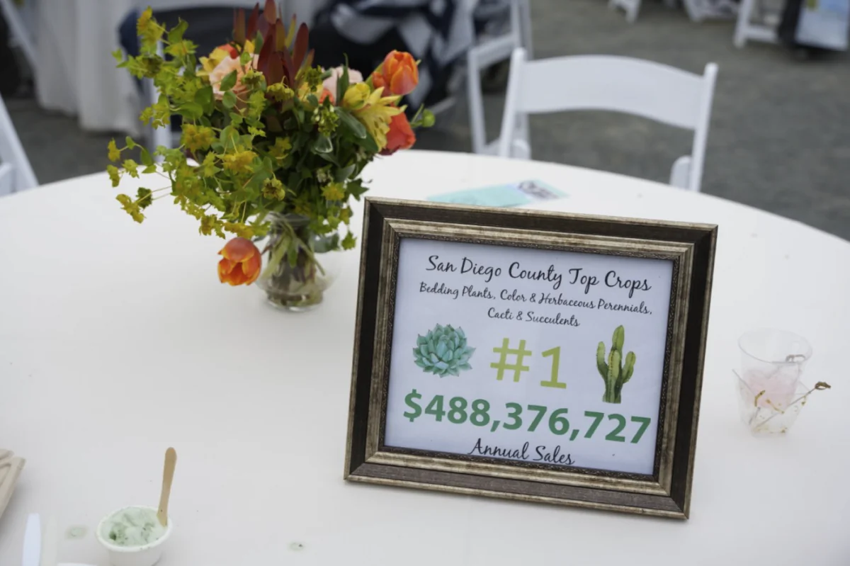 At over $488 million in annual sales, cacti and succulents are the number one agriculture crop in San Diego county, according to the San Diego County Farm Bureau. (Jie Yang/The Epoch Times)