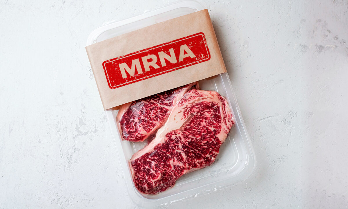 NextImg:IN-DEPTH: Controversial mRNA Technology Now Targeting Livestock