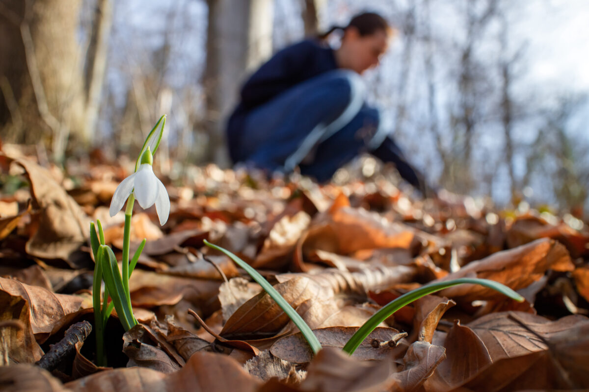 NextImg:How Plants Can Change Your State of Mind