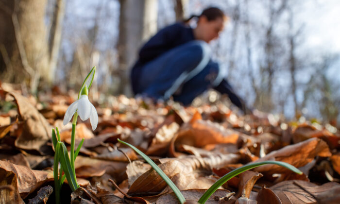 How Plants Can Change Your State of Mind